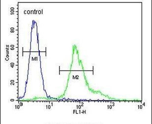 ERO1LB Antibody in Flow Cytometry (Flow)