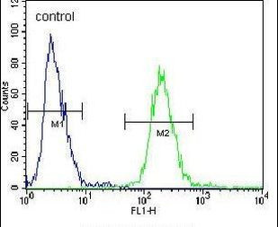 FIBB Antibody in Flow Cytometry (Flow)