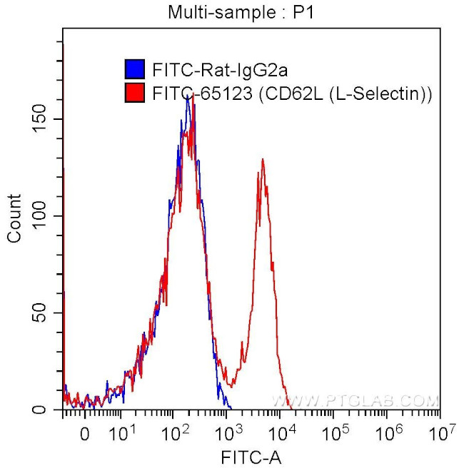 CD62L (L-Selectin) Antibody in Flow Cytometry (Flow)