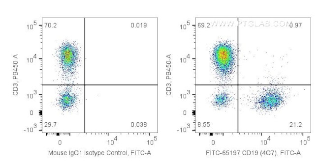 CD19 Antibody in Flow Cytometry (Flow)