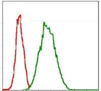 G6PD Antibody in Flow Cytometry (Flow)