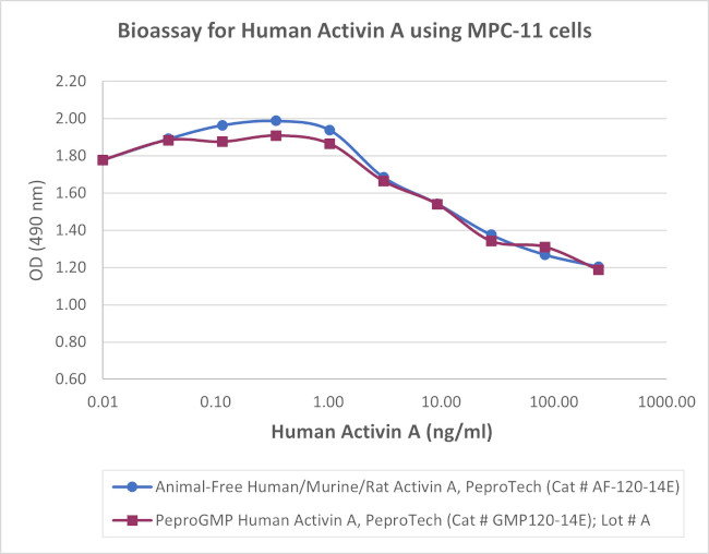 PeproGMP® Human Activin A Protein in Functional Assay (Functional)