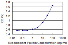 ADORA3 Antibody in ELISA (ELISA)