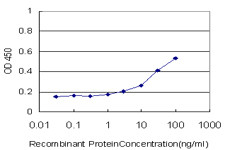 ALOX15 Antibody in ELISA (ELISA)