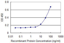 ALOX15B Antibody in ELISA (ELISA)