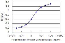 BIRC4 Antibody in ELISA (ELISA)