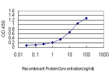 ARHGDIA Antibody in ELISA (ELISA)