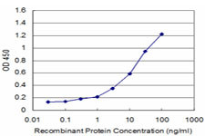 ARRB2 Antibody in ELISA (ELISA)