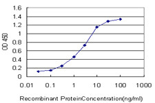 ATOX1 Antibody in ELISA (ELISA)