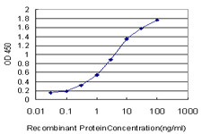 ATOX1 Antibody in ELISA (ELISA)