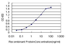 ATOX1 Antibody in ELISA (ELISA)