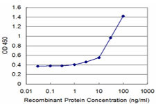 ATP1B2 Antibody in ELISA (ELISA)