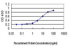 ATP2B1 Antibody in ELISA (ELISA)