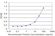 BMP5 Antibody in ELISA (ELISA)