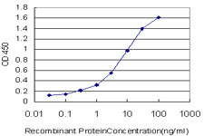 CRX Antibody in ELISA (ELISA)