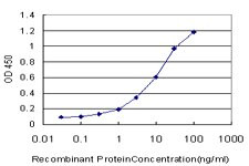 CYP19A1 Antibody in ELISA (ELISA)