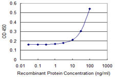 DDT Antibody in ELISA (ELISA)