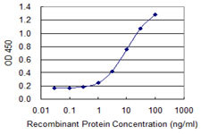 DPYSL3 Antibody in ELISA (ELISA)