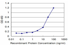 FNTB Antibody in ELISA (ELISA)