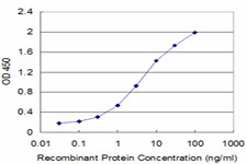 GLRA1 Antibody in ELISA (ELISA)