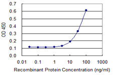 GRIA3 Antibody in ELISA (ELISA)