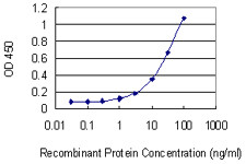 HBA1 Antibody in ELISA (ELISA)