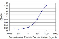 HD Antibody in ELISA (ELISA)