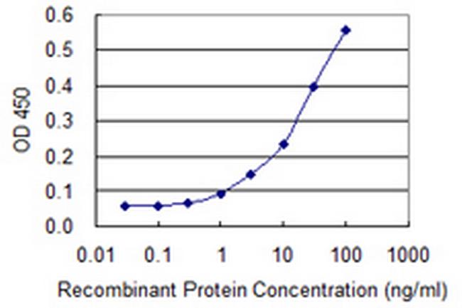 ICT1 Antibody in ELISA (ELISA)