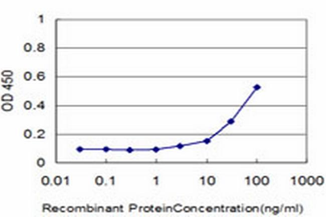 JAK3 Antibody in ELISA (ELISA)