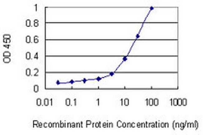 MST1 Antibody in ELISA (ELISA)