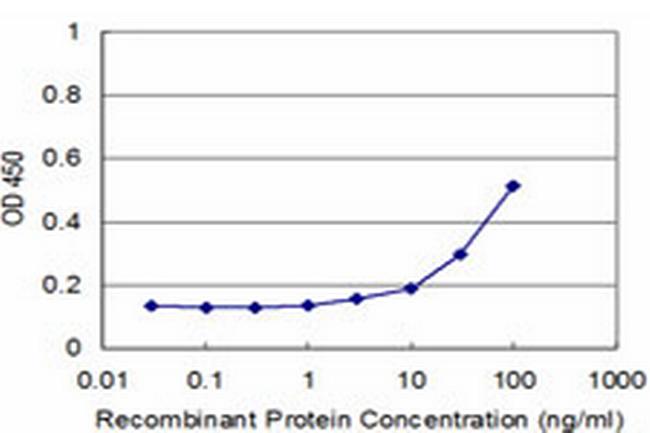 MYF6 Antibody in ELISA (ELISA)