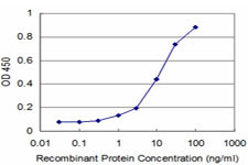 NKX3-1 Antibody in ELISA (ELISA)