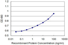 NME2 Antibody in ELISA (ELISA)