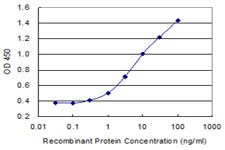 PDYN Antibody in ELISA (ELISA)