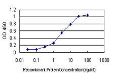 PLAUR Antibody in ELISA (ELISA)