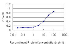 RAD51L3 Antibody in ELISA (ELISA)