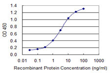 SOX12 Antibody in ELISA (ELISA)