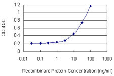 TXK Antibody in ELISA (ELISA)