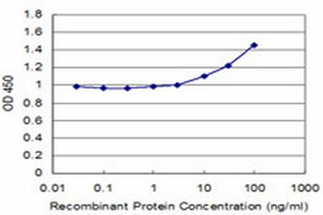 SQSTM1 Antibody in ELISA (ELISA)