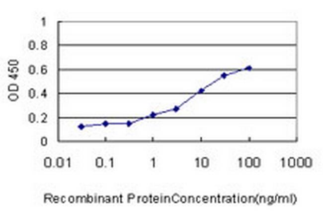 TAF1A Antibody in ELISA (ELISA)