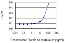 DLG5 Antibody in ELISA (ELISA)