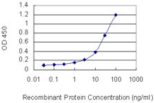 NXPH3 Antibody in ELISA (ELISA)