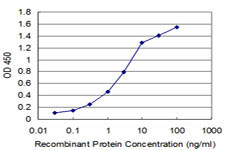 HEY1 Antibody in ELISA (ELISA)