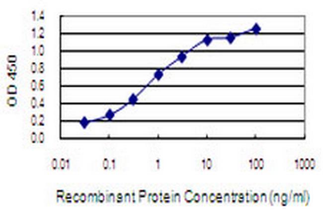 NGEF Antibody in ELISA (ELISA)