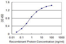 HSPB8 Antibody in ELISA (ELISA)