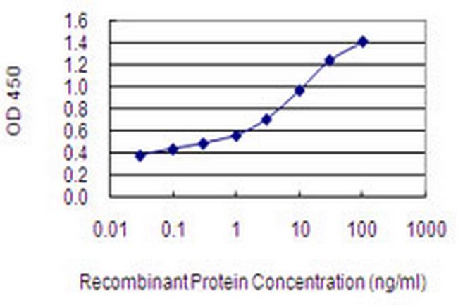 IMPG2 Antibody in ELISA (ELISA)