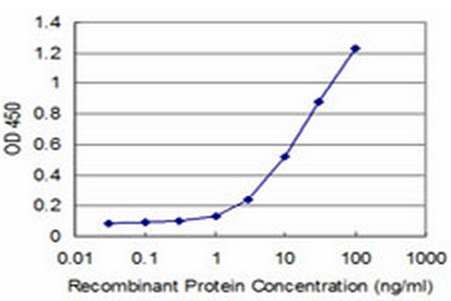 IRAK4 Antibody in ELISA (ELISA)