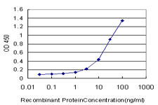 TLR7 Antibody in ELISA (ELISA)