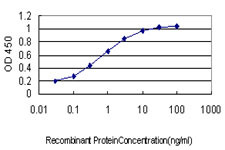 GPR84 Antibody in ELISA (ELISA)