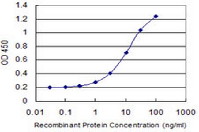 DUSP16 Antibody in ELISA (ELISA)